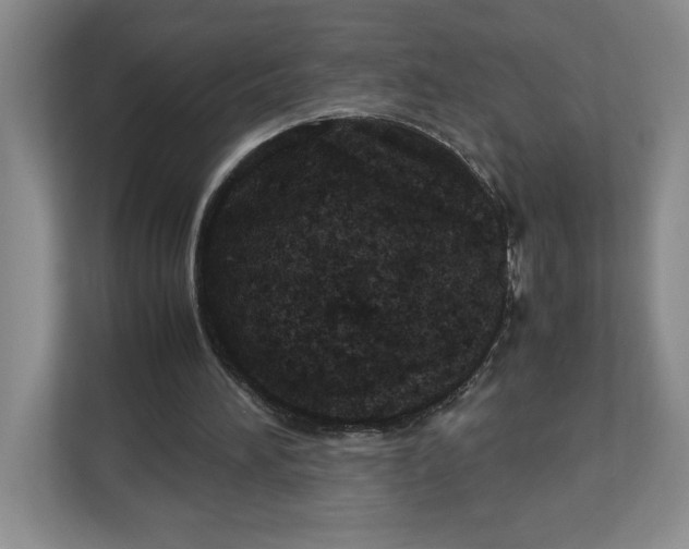 X0000112950196200909141414