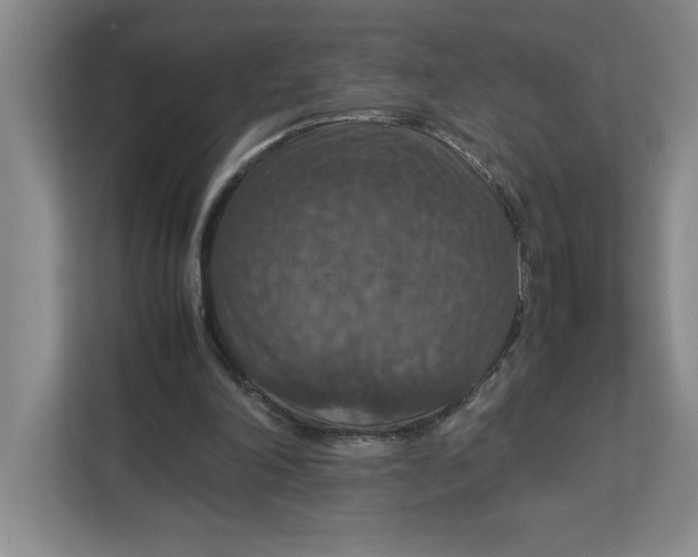 X0000112950198200909141414