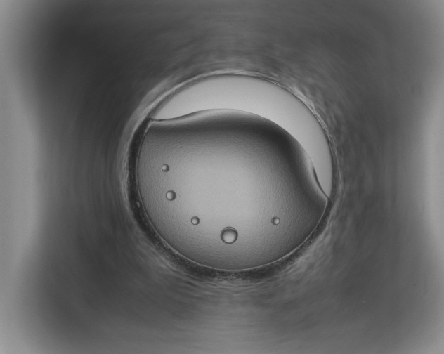 X0000112950199200909141414