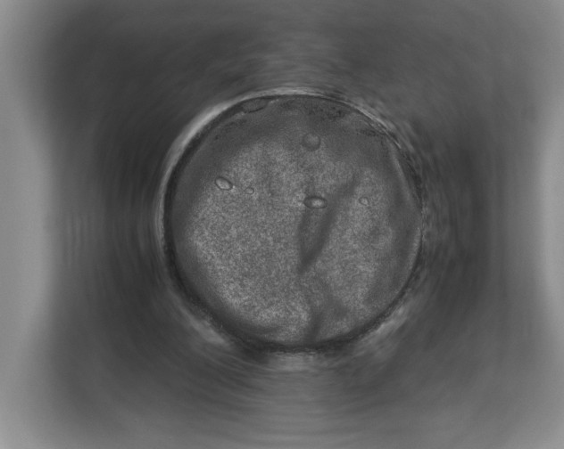 X0000112950200200909141414