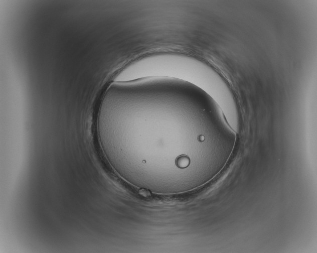 X0000112950201200909141414