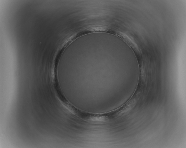 X0000112950202200909141414