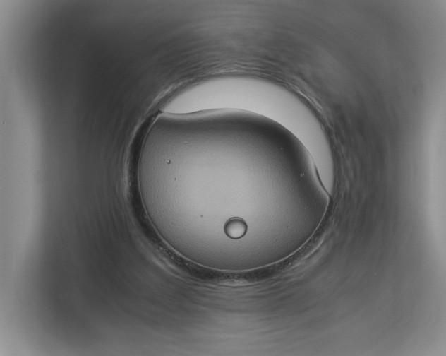 X0000112950203200909141414