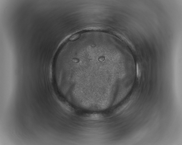 X0000112950204200909141414