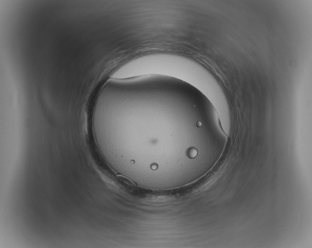 X0000112950205200909141414