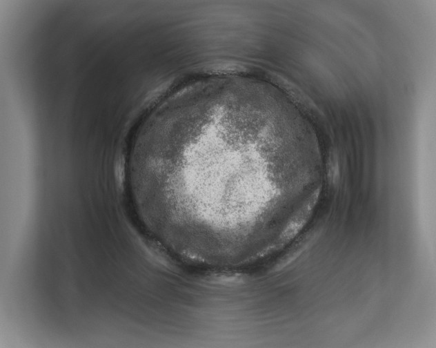 X0000112950206200909141414