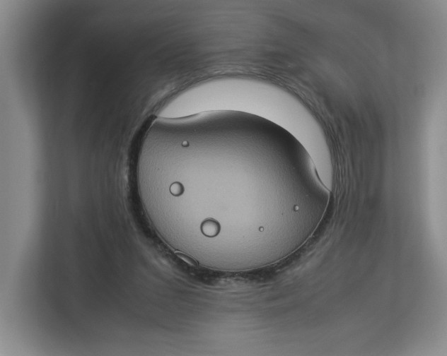 X0000112950207200909141414