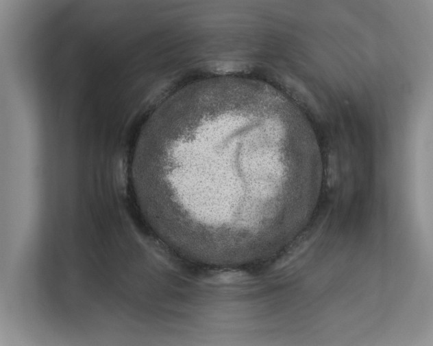 X0000112950210200909141414