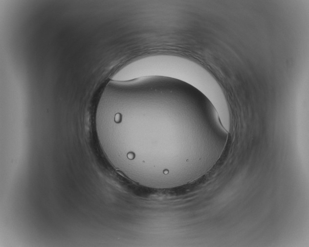 X0000112950211200909141414