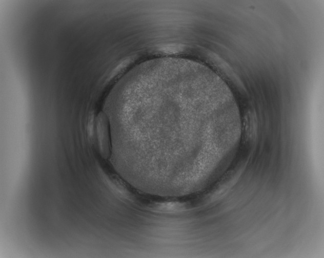 X0000112950212200909141414