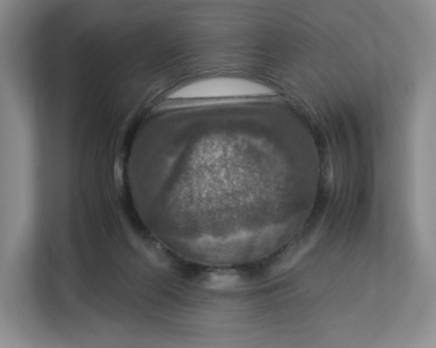 X0000112950214200909141414