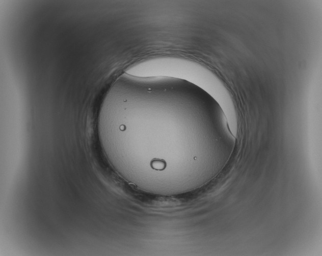 X0000112950215200909141414