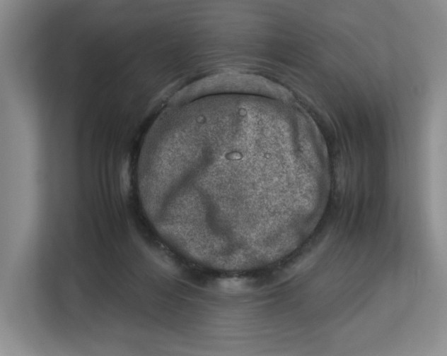 X0000112950216200909141414