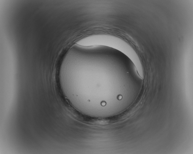 X0000112950217200909141414