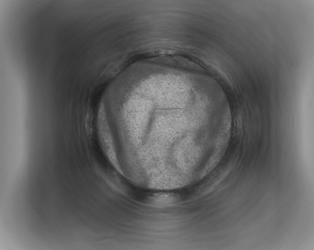 X0000112950218200909141414