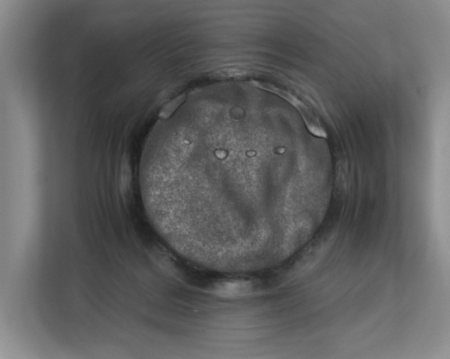 X0000112950220200909141414