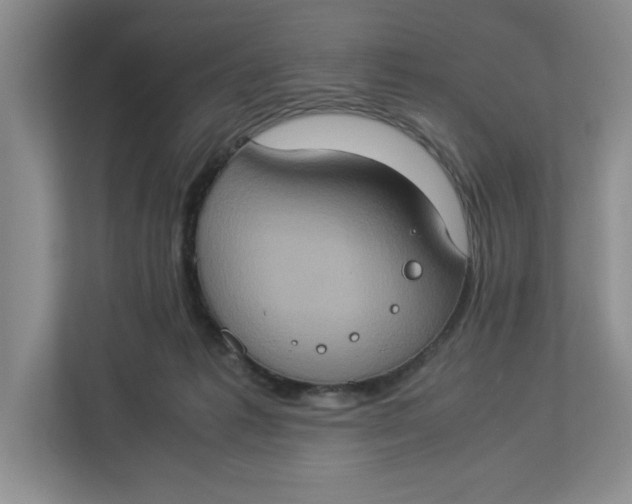 X0000112950221200909141414