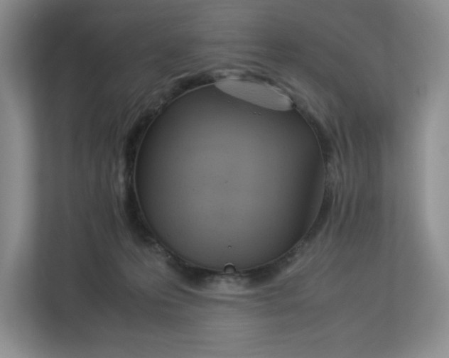 X0000112950223200909141414