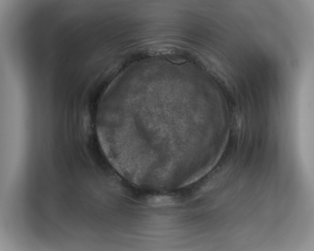 X0000112950224200909141414