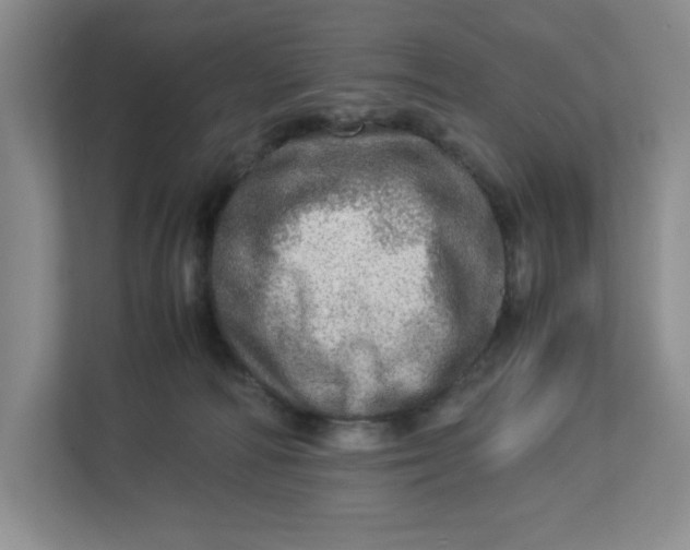 X0000112950226200909141414