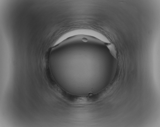 X0000112950227200909141414