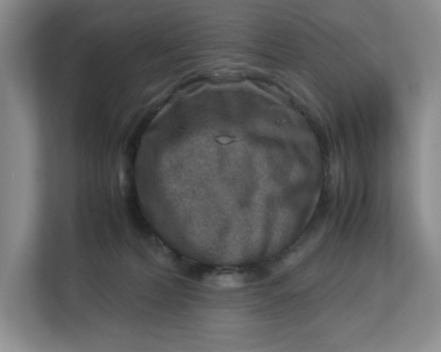 X0000112950228200909141414