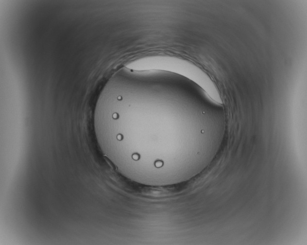 X0000112950229200909141414