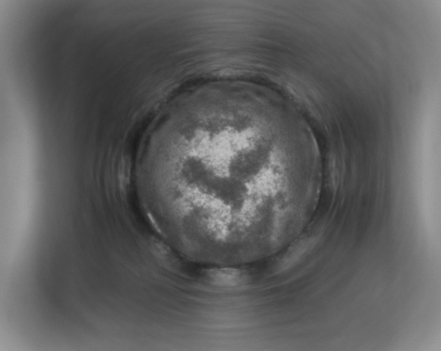 X0000112950230200909141414