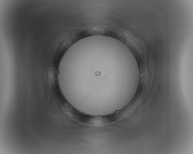 X0000112950231200909141414