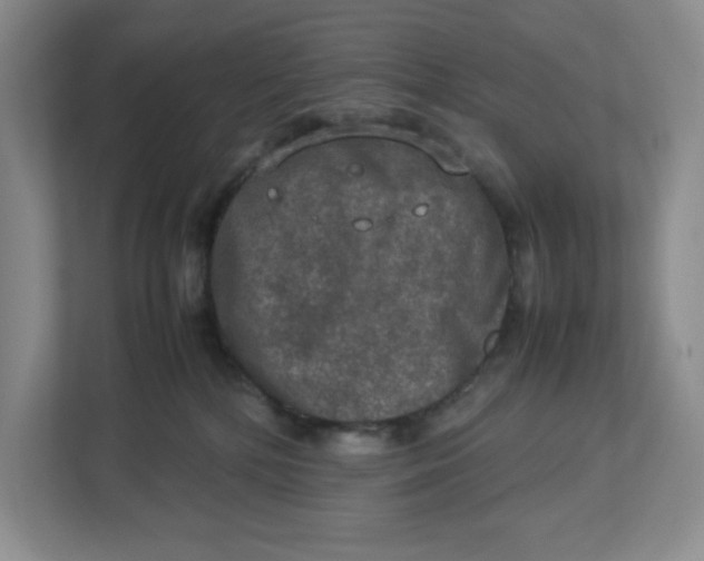 X0000112950232200909141414