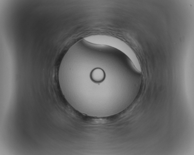 X0000112950233200909141414