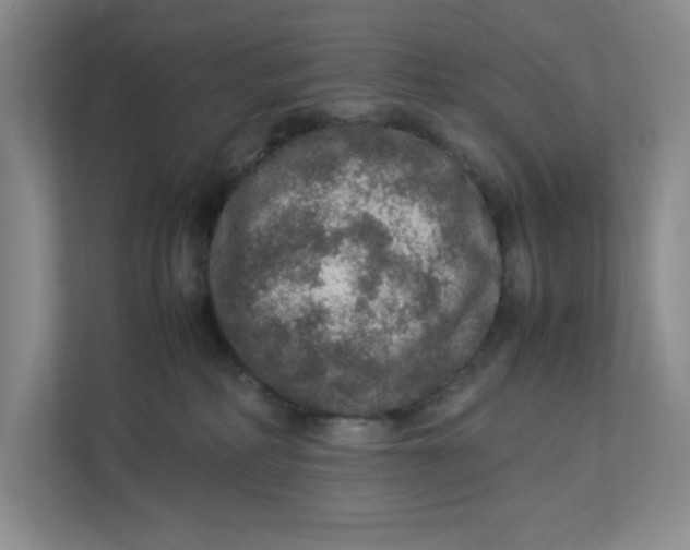 X0000112950234200909141414