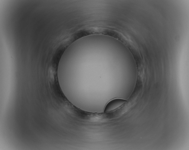 X0000112950235200909141414