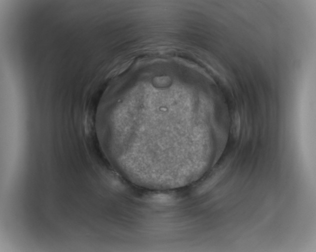 X0000112950236200909141414