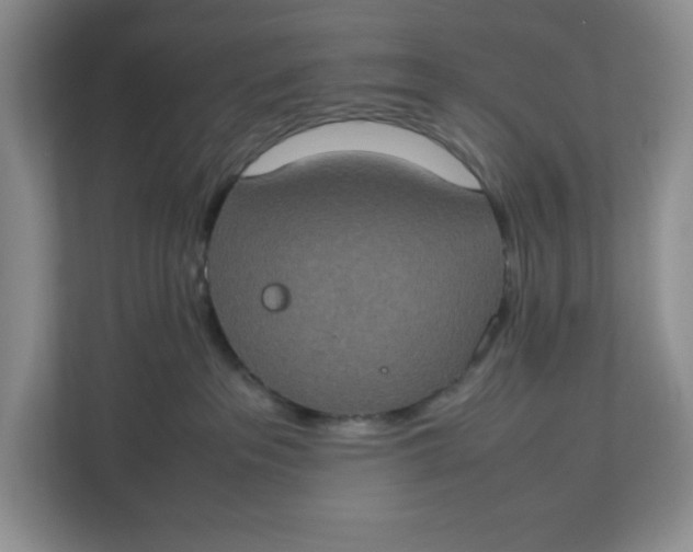 X0000112950237200909141414