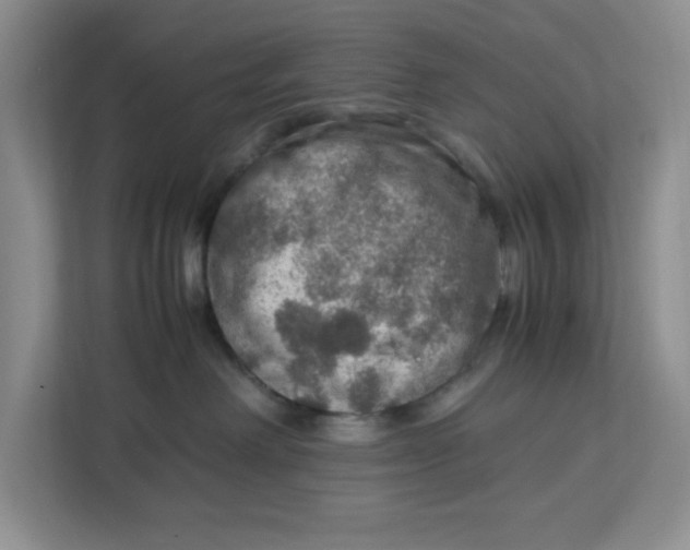 X0000112950238200909141414