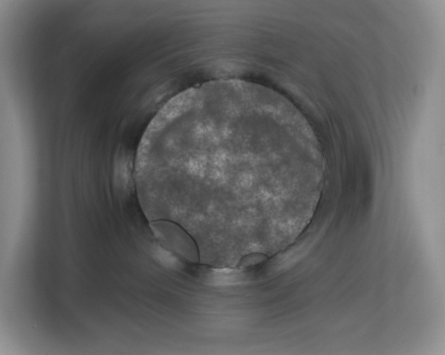 X0000112950240200909141414