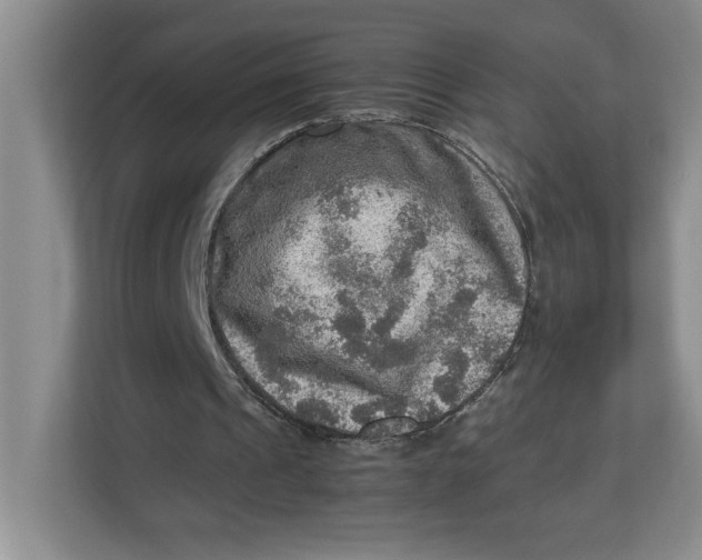 X0000112950241200909141413