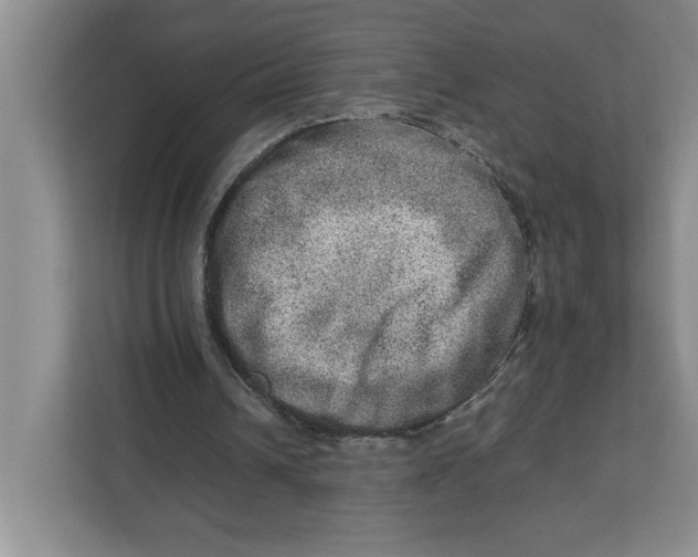 X0000112950242200909141413