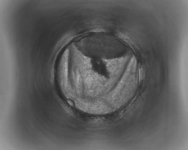 X0000112950243200909141413