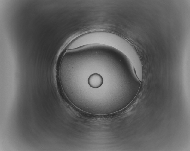 X0000112950244200909141413