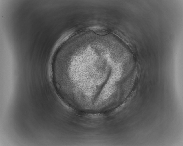 X0000112950245200909141413