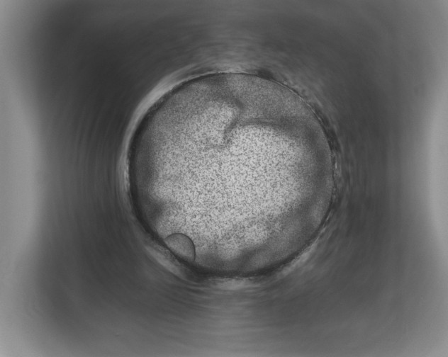 X0000112950246200909141413