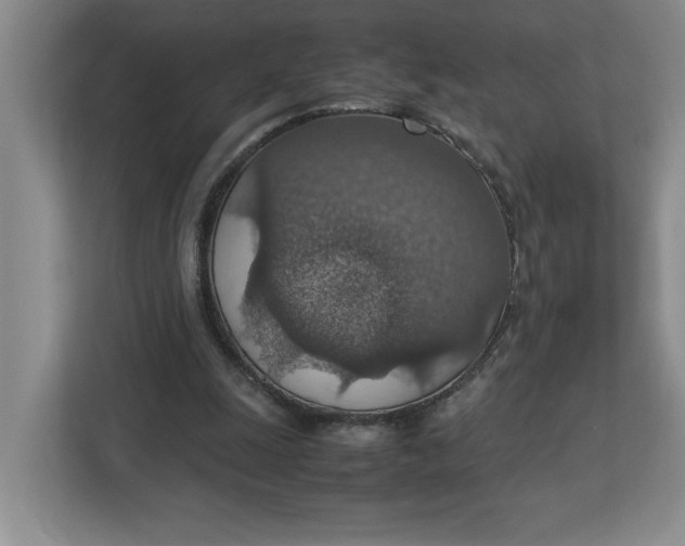 X0000112950247200909141413