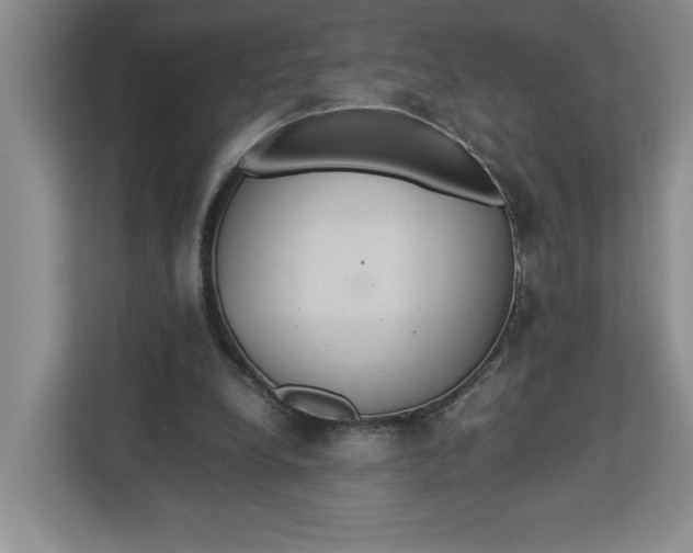 X0000112950248200909141413