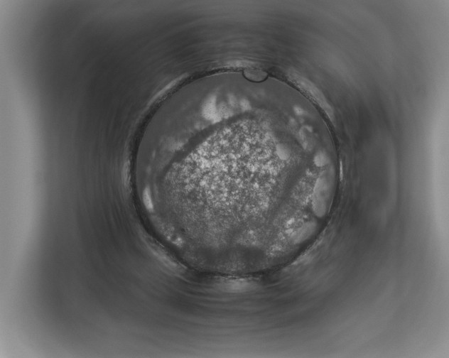 X0000112950249200909141413