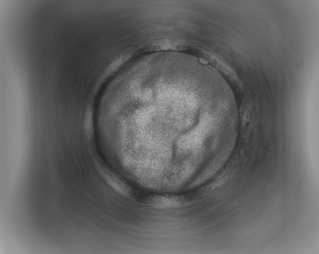 X0000112950250200909141413