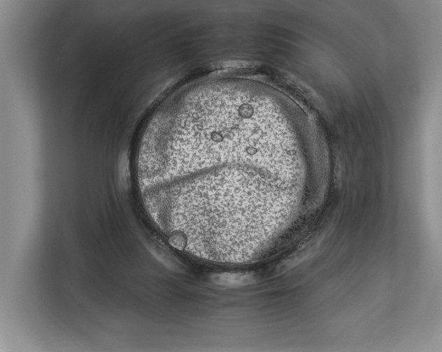 X0000112950251200909141413