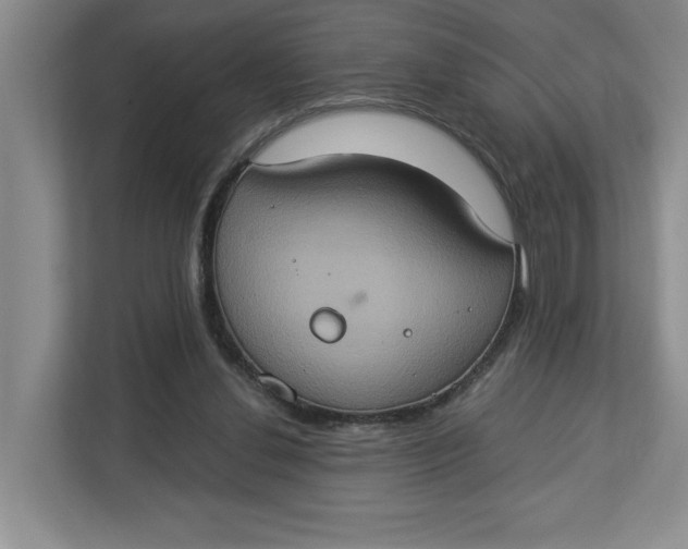 X0000112950252200909141413