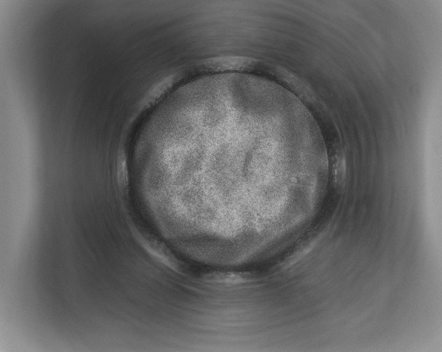 X0000112950254200909141413